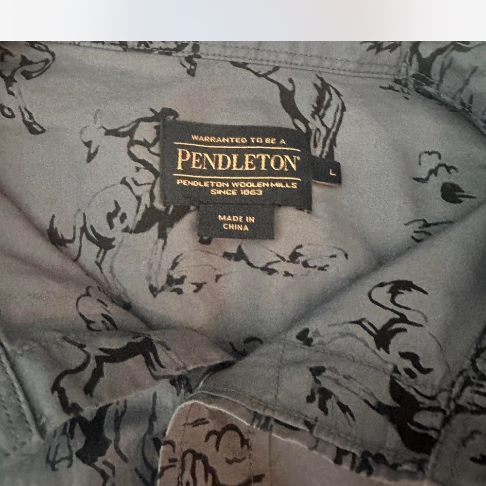 Pendleton Light Blue Graphic Button Down Shirt - image 4